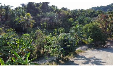 LOTE COMERCIAL VENTA EN VEREDA LOS NARANJOS-SANTA MARA