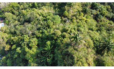 LOTE COMERCIAL VENTA EN VEREDA LOS NARANJOS-SANTA MARA