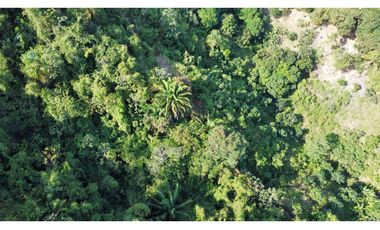 LOTE COMERCIAL VENTA EN VEREDA LOS NARANJOS-SANTA MARA