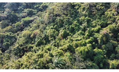 LOTE COMERCIAL VENTA EN VEREDA LOS NARANJOS-SANTA MARA