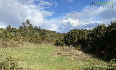 Parcela en Venta en Ilque