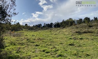 Parcela en Venta en Ilque