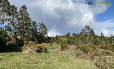 Parcela en Venta en Ilque