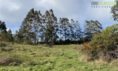 Parcela en Venta en Ilque