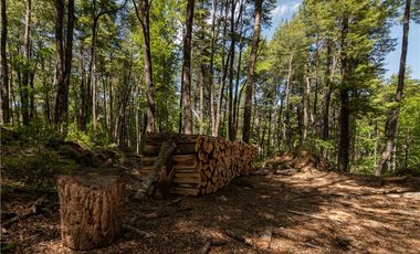 Parcela en venta Curarrehue a 45 KM  de Pucón