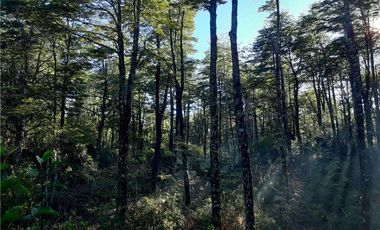 Parcela en venta Curarrehue a 45 KM  de Pucón