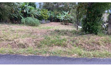 TERRENO EN SAN CARLOS| 540 MTS | TODOS LOS SERVICIOS