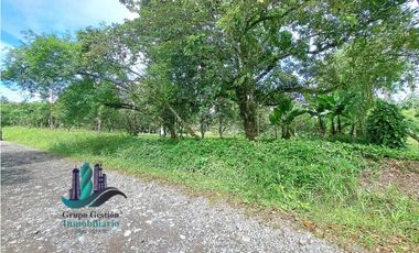 VENDO UNA HECTAREA PLANA CON SUELO NEGRO