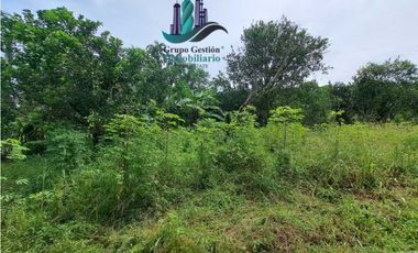 VENDO UNA HECTAREA PLANA CON SUELO NEGRO