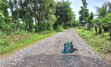 VENDO UNA HECTAREA PLANA CON SUELO NEGRO