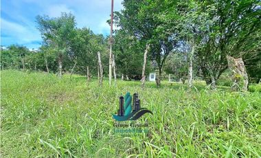 VENDO UNA HECTAREA PLANA CON SUELO NEGRO