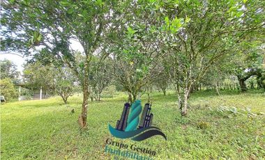 VENDO UNA HECTAREA PLANA CON SUELO NEGRO