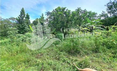 VENDO UNA HECTAREA PLANA CON SUELO NEGRO