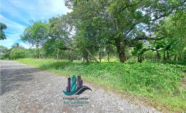 VENDO UNA HECTAREA PLANA CON SUELO NEGRO