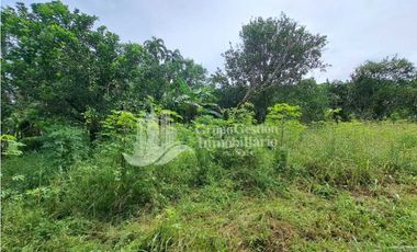 VENDO UNA HECTAREA PLANA CON SUELO NEGRO