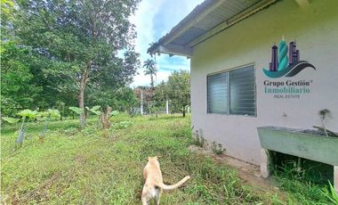 VENDO UNA HECTAREA PLANA CON SUELO NEGRO