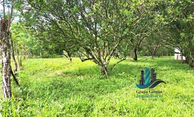 VENDO UNA HECTAREA PLANA CON SUELO NEGRO