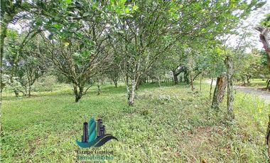 VENDO UNA HECTAREA PLANA CON SUELO NEGRO