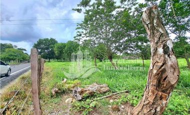 VENDO LOTE DE 4555M2 + AREA CAMPESTRE