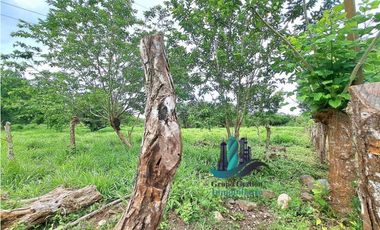 VENDO LOTE DE 4555M2 + AREA CAMPESTRE
