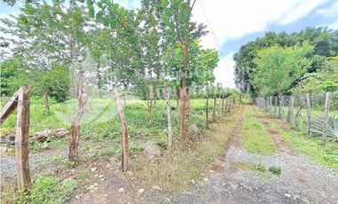 VENDO LOTE DE 4555M2 + AREA CAMPESTRE