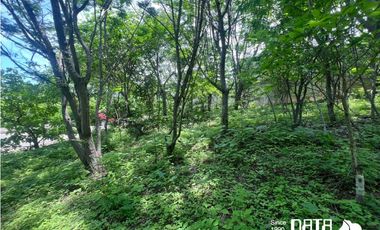 LOTE 17 RESIDENCIAL CONEJOS