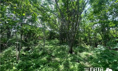 LOTE 17 RESIDENCIAL CONEJOS