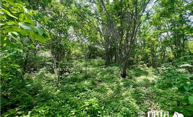 LOTE 17 RESIDENCIAL CONEJOS