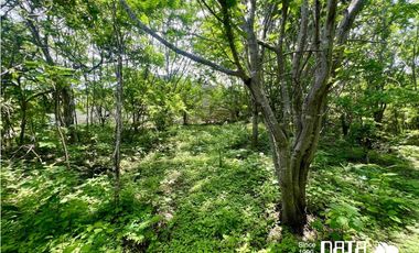 LOTE 17 RESIDENCIAL CONEJOS