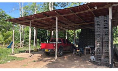 VENTA DE FINCA  DE 4 HECTREAS EN LORICA - CÓRDOBA