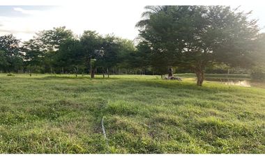 VENTA DE FINCA  DE 4 HECTREAS EN LORICA - CÓRDOBA