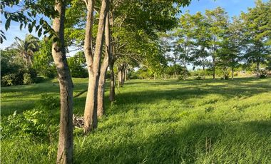 VENTA DE FINCA  DE 4 HECTREAS EN LORICA - CÓRDOBA