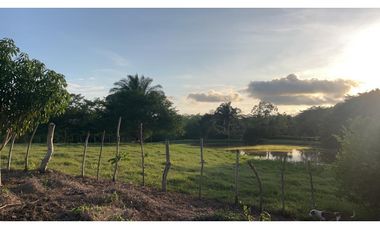 VENTA DE FINCA  DE 4 HECTREAS EN LORICA - CÓRDOBA