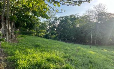 VENTA DE FINCA  DE 4 HECTREAS EN LORICA - CÓRDOBA