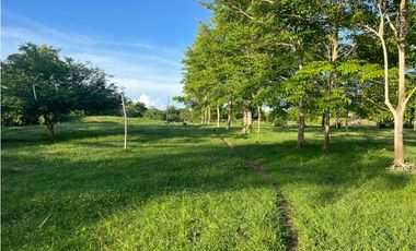 VENTA DE FINCA  DE 4 HECTREAS EN LORICA - CÓRDOBA