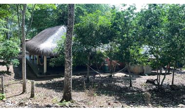 VENTA DE FINCA  DE 4 HECTREAS EN LORICA - CÓRDOBA