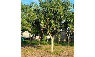 VENTA DE FINCA  DE 4 HECTREAS EN LORICA - CÓRDOBA