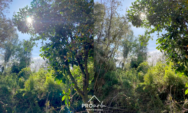 Parcela en Venta en Oportunidad Ultima parcela Venta en Verde Parcelación Agricola San Clemente