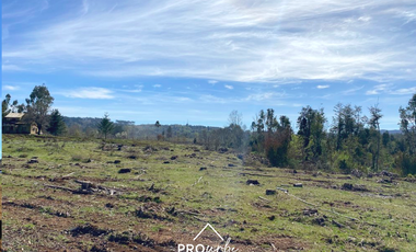 Parcela en Venta en Oportunidad Ultima parcela Venta en Verde Parcelación Agricola San Clemente