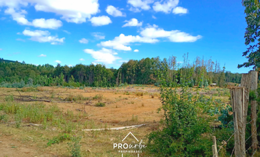 Terreno Construccion  en Venta en Oportunidad Ultima parcela Venta en Verde Parcelación Agricola San Clemente