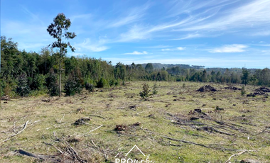 Terreno Construccion  en Venta en Oportunidad Ultima parcela Venta en Verde Parcelación Agricola San Clemente