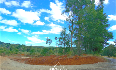 Terreno Construccion  en Venta en Oportunidad Ultima parcela Venta en Verde Parcelación Agricola San Clemente