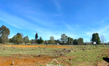 Terreno Construccion  en Venta en Oportunidad Ultima parcela Venta en Verde Parcelación Agricola San Clemente