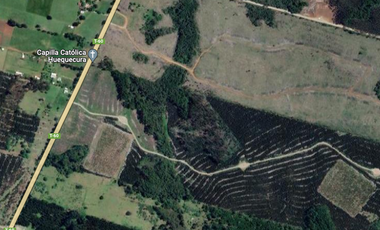 Terreno Construccion  en Venta en Oportunidad Ultima parcela Venta en Verde Parcelación Agricola San Clemente