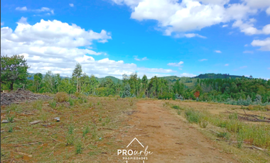 Terreno Construccion  en Venta en Oportunidad Ultima parcela Venta en Verde Parcelación Agricola San Clemente