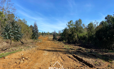 Terreno Construccion  en Venta en Oportunidad Ultima parcela Venta en Verde Parcelación Agricola San Clemente