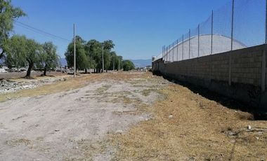 Venta de Bodegas en San Mateo Otzacatipan Toluca