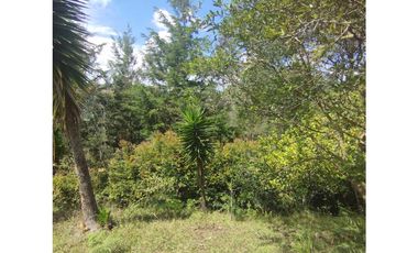 VENTA FINCA SAN VICENTE FERRER 15.900 mts2