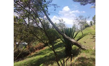 VENTA FINCA SAN VICENTE FERRER 15.900 mts2