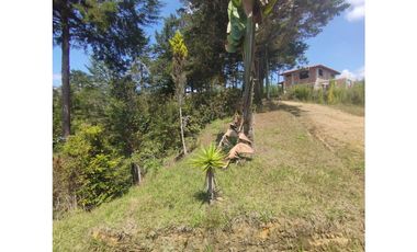 VENTA FINCA SAN VICENTE FERRER 15.900 mts2